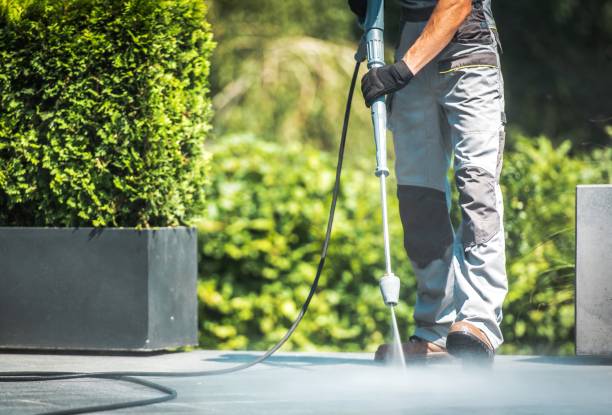 Animal Enclosure Cleaning in Cambridge, MA
